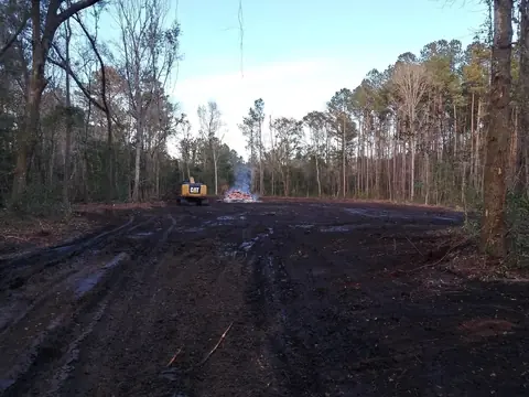 Access road cut and grubbed through standing timber — Coastal Clearing & Debris, Brunswick County NC