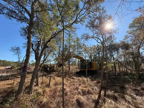 Working the treeline with the truck kept close — Coastal Clearing & Debris, Brunswick County NC