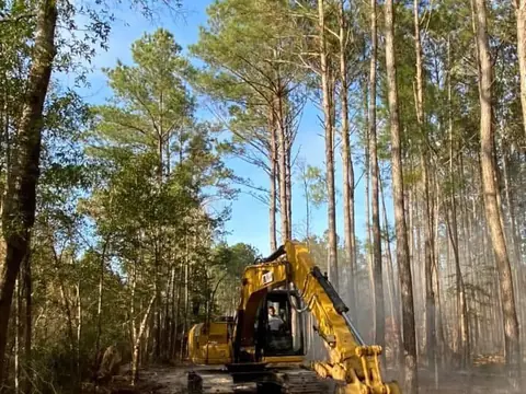 Cutting a line through planted pine — Coastal Clearing & Debris, Brunswick County NC