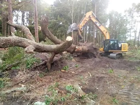 Stump and root ball lifted clear of the hole — Coastal Clearing & Debris, Brunswick County NC