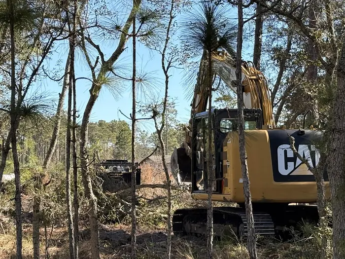 Excavator clearing heavy undergrowth on an overgrown lot
