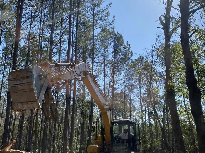 Tracked excavator working in tall pine on a Brunswick County job